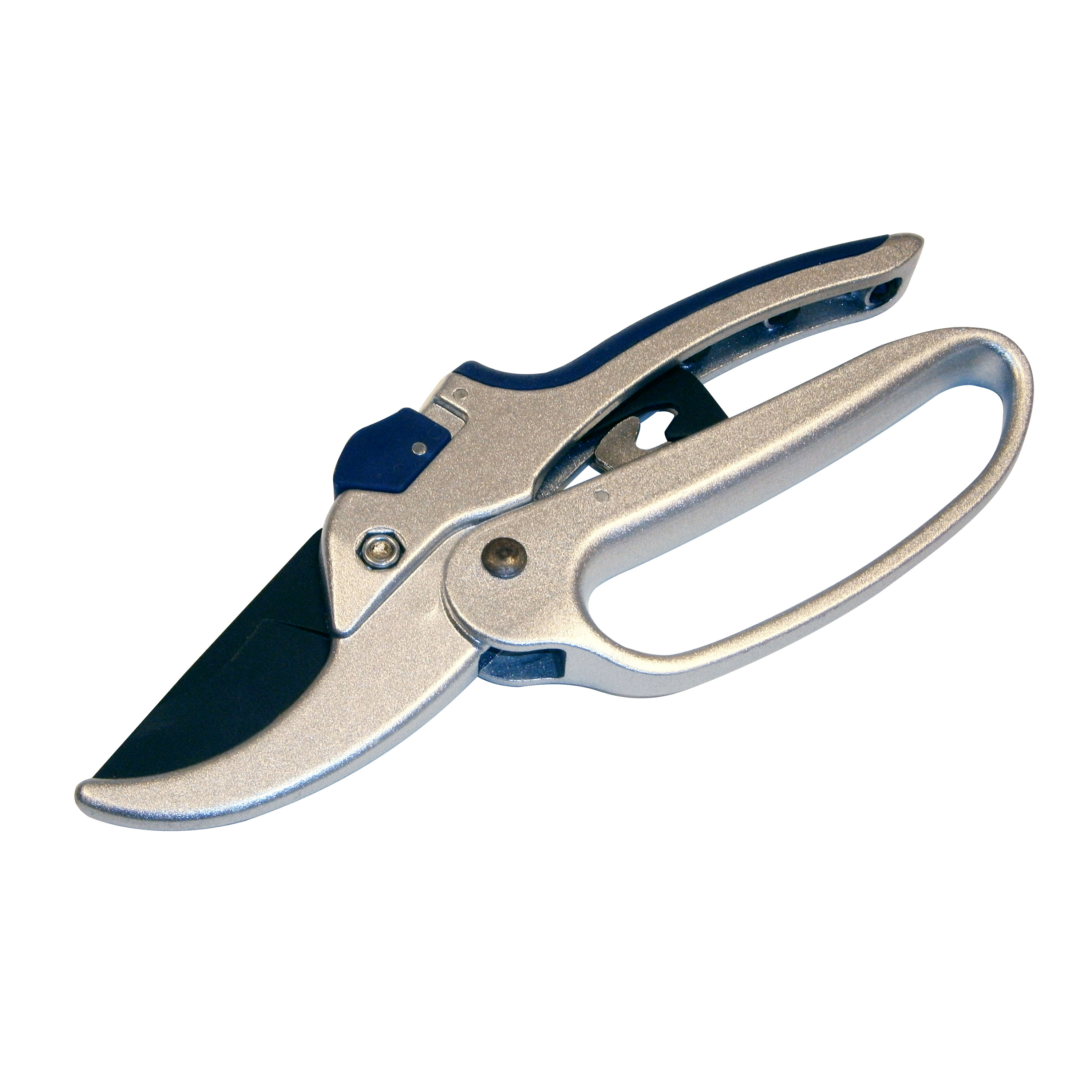 Spear & Jackson 6559BS Razorsharp Review, Secateurs