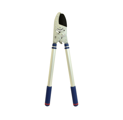 Spear & jackson razorsharp 2024 advantage telescopic ratchet anvil lopper